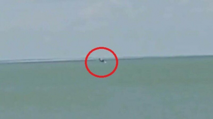 Un avion militar rus s-a prabusit in Marea Azov. Ce s-a intamplat cu pilotul - VIDEO Un avion militar rus s-a prabusit in Marea Azov. Ce s-a intamplat cu pilotul - VIDEO