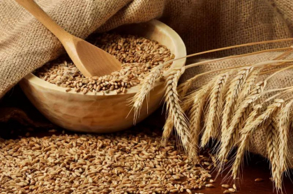 Efectul imediat al deciziei Kremlinului de a rupe acordul privind cerealele din Marea Neagra / Ce consecinte ar putea avea masura luata de Vladimir Putin Efectul imediat al deciziei Kremlinului de a rupe acordul privind cerealele din Marea Neagra / Ce consecinte ar putea avea masura luata de Vladimir Putin