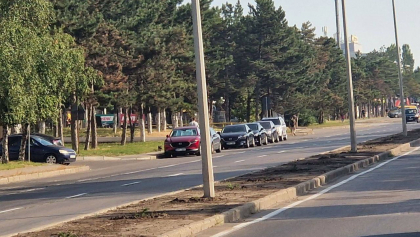 Arbustii plantati pe aleea de pe strada Calea Orheiului din capitala - furati noaptea trecuta. Primaria a depus plangere la politie - FOTO Arbustii plantati pe aleea de pe strada Calea Orheiului din capitala - furati noaptea trecuta. Primaria a depus plangere la politie - FOTO