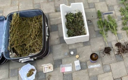 Un barbat din Cimislia cultiva marijuana acasa. Ghivece cu plante, confiscate de politisti Un barbat din Cimislia cultiva marijuana acasa. Ghivece cu plante, confiscate de politisti