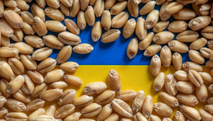 Cum ar vrea Putin sa elimine definitiv Ucraina de pe piata exporturilor de cereale Cum ar vrea Putin sa elimine definitiv Ucraina de pe piata exporturilor de cereale