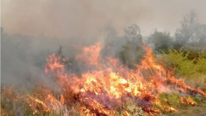 Tragedie intr-o localitate din Edinet: un copil de trei ani a murit ars de viu Tragedie intr-o localitate din Edinet: un copil de trei ani a murit ars de viu