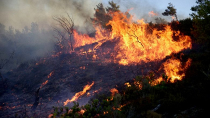 Peste 660 de incendii in Grecia. Ministru: Cele mai multe au fost provocate de oameni Peste 660 de incendii in Grecia. Ministru: Cele mai multe au fost provocate de oameni