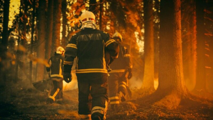 Incendii masive in Spania. Mai mult de 200 de pompieri se lupta cu focul de la granita cu Franta Incendii masive in Spania. Mai mult de 200 de pompieri se lupta cu focul de la granita cu Franta