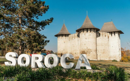 Cainii maidanezi, otraviti in masa la Soroca - FOTO