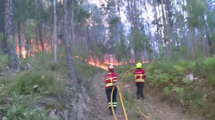 Peste 2.000 de pompieri se lupta cu flacarile din Portugalia. 1.400 de oameni si-au parasit locuintele Peste 2.000 de pompieri se lupta cu flacarile din Portugalia. 1.400 de oameni si-au parasit locuintele