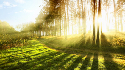 Cer variabil si maxime de 28 grade Celsius. Ce temperaturi se vor inregistra astazi, dar si in urmatoarele zile. Prognoza meteo
