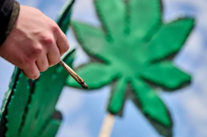 Guvernul german a aprobat legalizarea canabisului in scop recreational Guvernul german a aprobat legalizarea canabisului in scop recreational