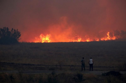 Incendiile de vegetatie continua sa avanseze in nord-estul Greciei Incendiile de vegetatie continua sa avanseze in nord-estul Greciei