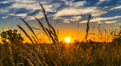 Soare si maxime de pana la 35 de grade Celsius. Cum va fi vremea astazi, dar si in urmatoarele zile. Prognoza meteo Soare si maxime de pana la 35 de grade Celsius. Cum va fi vremea astazi, dar si in urmatoarele zile. Prognoza meteo