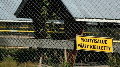 Epidemie de gripa aviara in Finlanda. 120.000 de vulpi si de nurci vor fi sacrificate Epidemie de gripa aviara in Finlanda. 120.000 de vulpi si de nurci vor fi sacrificate