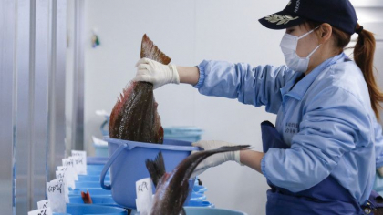 China a interzis toate importurile de produse „cu origine acvatica” din Japonia, dupa ce apa de la Fukushima a fost aruncata in ocean