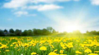 Vreme caniculara cu maxime de 37 grade Celsius. Ce temperaturi se vor inregistra in urmatoarele zile. Prognoza meteo