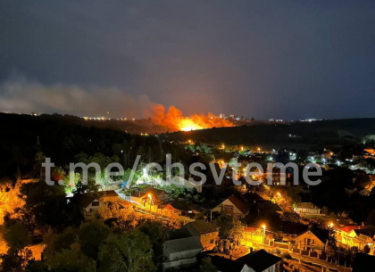 Incediu puternic intr-o padure din capitala. Pompierii se lupta cu flacarile de mai bine de doua ore - FOTO/VIDEO Incediu puternic intr-o padure din capitala. Pompierii se lupta cu flacarile de mai bine de doua ore - FOTO/VIDEO