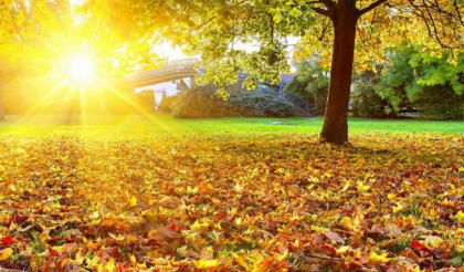 Soare si maxime de pana la 31 de grade Celsius. Cum va fi vremea astazi, dar si in urmatoarele zile. Prognoza meteo
