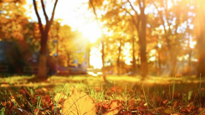 Cer variabil si maxime de 25 grade Celsius in nordul tarii. Cate grade se vor inregistra in urmatoarele zile. Prognoza meteo