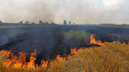 Avertizare COD GALBEN de pericol de incendiu. Anuntul facut de Serviciul Hidrometeorologic de Stat cu putin timp in urma - FOTO Avertizare COD GALBEN de pericol de incendiu. Anuntul facut de Serviciul Hidrometeorologic de Stat cu putin timp in urma - FOTO
