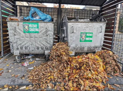 Atentie, locuitori ai capitalei. Aruncarea deseurilor vegetale in tomberoane - strict interzisa. Care este motivul - FOTO Atentie, locuitori ai capitalei. Aruncarea deseurilor vegetale in tomberoane - strict interzisa. Care este motivul - FOTO