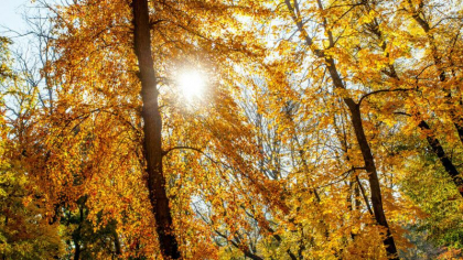 Cer variabil si maxime de 26 grade Celsius in sudul tarii. Cate grade se vor inregistra in urmatoarele zile. Prognoza meteo Cer variabil si maxime de 26 grade Celsius in sudul tarii. Cate grade se vor inregistra in urmatoarele zile. Prognoza meteo