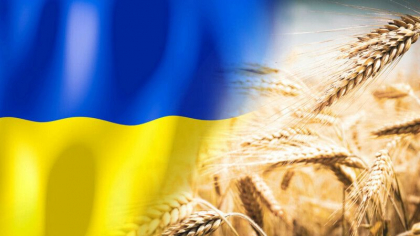 Comisia Europeana ridica restrictiile impuse importurilor de cereale ucrainene, dar pune conditii Kievului Comisia Europeana ridica restrictiile impuse importurilor de cereale ucrainene, dar pune conditii Kievului