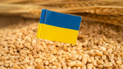 Comisia cere Poloniei, Ungariei si Slovaciei sa actioneze „constructiv” in problema cerealelor ucrainene Comisia cere Poloniei, Ungariei si Slovaciei sa actioneze „constructiv” in problema cerealelor ucrainene