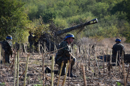 Moldovenii - rugati sa se abtina de la distribuirea imaginilor cu tehnica militara pe drumurile din tara, in spatiul online. Precizarile ministerului Apararii