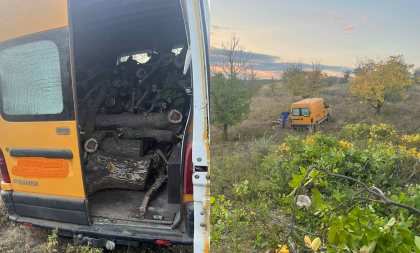 Doi barbati, prinsi in flagrant in timp ce taiau ilegal arbori, la Singerei. Ce pedeapsa au primit acestia - FOTO
