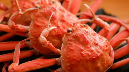 O turista a chemat politia cand a aflat ca are de platit 1.000 de dolari dupa ce a mancat la restaurant O turista a chemat politia cand a aflat ca are de platit 1.000 de dolari dupa ce a mancat la restaurant
