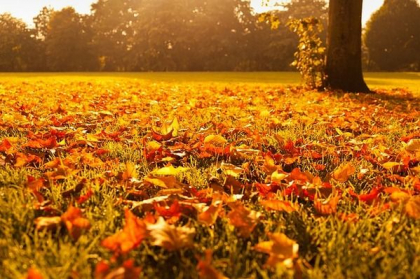 Cer variabil si maxime de 29 grade Celsius in sudul tarii. Cate grade se vor inregistra in urmatoarele zile. Prognoza meteo