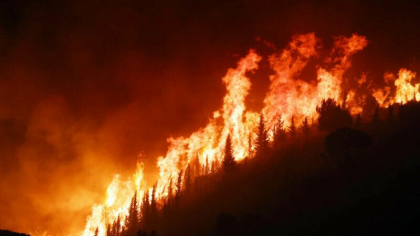 Sicilia, din nou cuprinsa de incendii de vegetatie. Flacarile s-au extins cu o viteza uluitoare Sicilia, din nou cuprinsa de incendii de vegetatie. Flacarile s-au extins cu o viteza uluitoare