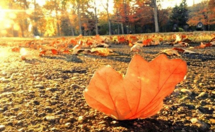 Cer variabil si maxime de 25 grade Celsius in nordul tarii. Cate grade se vor inregistra in urmatoarele zile. Prognoza meteo