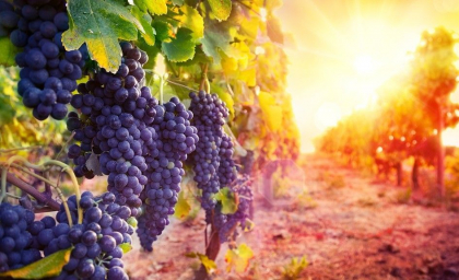 Cer varibil si maxime de 29 grade Celsius in sudul tarii. Cum va fi vremea in urmatoarele zile. Prognoza meteo Cer varibil si maxime de 29 grade Celsius in sudul tarii. Cum va fi vremea in urmatoarele zile. Prognoza meteo