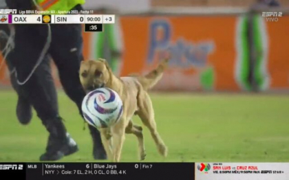 Momente amuzante pe un stadion din Mexic: Un caine a prins mingea si a „fentat” minute bune jucatorii si oamenii de ordine - VIDEO