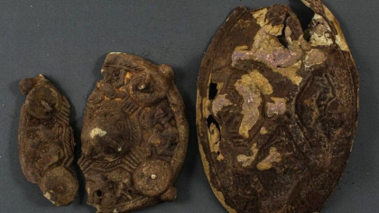 O familie din Norvegia cauta un cercel pierdut in gradina, dar a gasit o comoara vikinga O familie din Norvegia cauta un cercel pierdut in gradina, dar a gasit o comoara vikinga