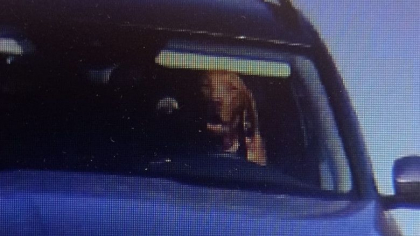 Politistii slovaci au surprins un caine aflat la volanul unei masini care depasea viteza legala - FOTO