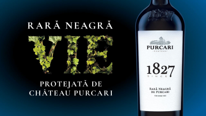 Ziua Nationala a Vinului, editia 2023. Un tribut Rara Neagra adus de echipa Chateau Purcari Ziua Nationala a Vinului, editia 2023. Un tribut Rara Neagra adus de echipa Chateau Purcari