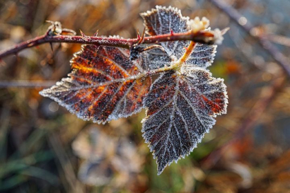 Ultima ora. COD GALBEN de ingheturi. Anuntul, facut de meteorologi - FOTO Ultima ora. COD GALBEN de ingheturi. Anuntul, facut de meteorologi - FOTO