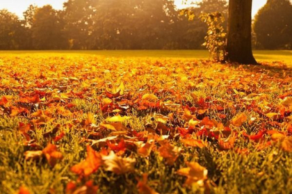 Cer variabil si maxime de 13 grade Celsius. Cum va fi vremea astazi, dar si in urmatoarele zile. Prognoza meteo