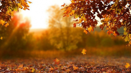 Cer variabil si maxime de 25 grade Celsius. Cum va fi vremea astazi, dar si in urmatoarele zile. Prognoza meteo