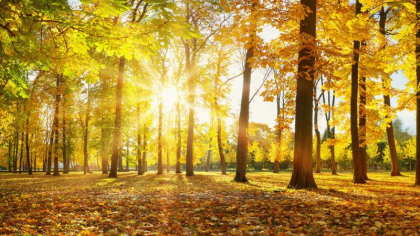 Temperaturi de vara in plina toamna: in sudul tarii maximele vor ajunge la 32 grade Celsius. Cum va fi vremea in urmatoarele zile. Prognoza meteo 