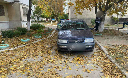 Moarte stupida la Grigoriopol. O femeie de 72 de ani a murit, dupa ce a fost lovita de o masina, in timp ce strangea nuci
