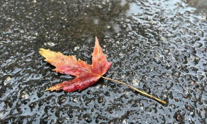Ploi slabe in unele zone ale tarii. Ce temperaturi se vor inregistra astazi, dar si in urmatoarele zile. Prognoza meteo