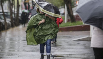 Avertizare de vant puternic in mai multe raioane ale tarii. Cetatenii sunt indemnati sa fie prudenti si sa evite deplasarea in preajma arborilor batrani 