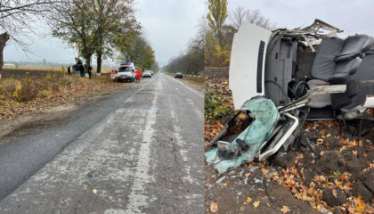 Accident la Edinet. O soferita si doi copii au ajuns la spital, dupa ce s-au izbit cu masina intr-un copac - FOTO