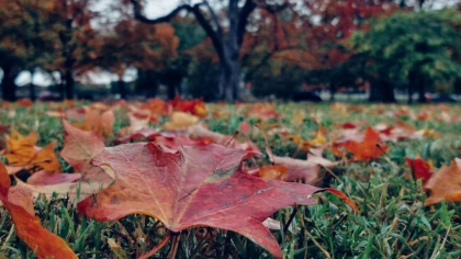 Vremea se raceste. Ce temperaturi se vor inregistra astazi, dar si in urmatoarele zile. Prognoza meteo 