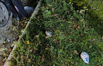 „A deschis usa si a aruncat doua pachete ambalate”. Droguri in valoare de 300 de mii de lei, ridicate, iar trei barbati - retinuti - FOTO