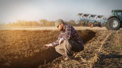 De ce protesteaza agricultorii? Expert economic: „Preturile la productia agricola in acest an a scazut de doua ori, fata de anul trecut”