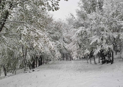 Ninge puternic in mai multe raioane din tara! Imagini de poveste suprinse in zonele unde s-a depus deja zapada - FOTO/VIDEO Ninge puternic in mai multe raioane din tara! Imagini de poveste suprinse in zonele unde s-a depus deja zapada - FOTO/VIDEO