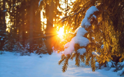 Vreme friguroasa: termometrele vor indica minus 5 grade Celsius. Ce temperaturi se vor inregistra in urmatoarele zile. Prognoza meteo Vreme friguroasa: termometrele vor indica minus 5 grade Celsius. Ce temperaturi se vor inregistra in urmatoarele zile. Prognoza meteo