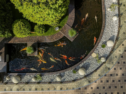 MiaDora - restaurantul cu cea mai impresionanta colectie de pesti din tara - GALERIE FOTO
